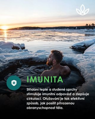 Střídání teplé a studené vody, jak ho propaguje Wim Hof, známý jako „Iceman“, má pozitivní vliv na imunitní systém. Tato...